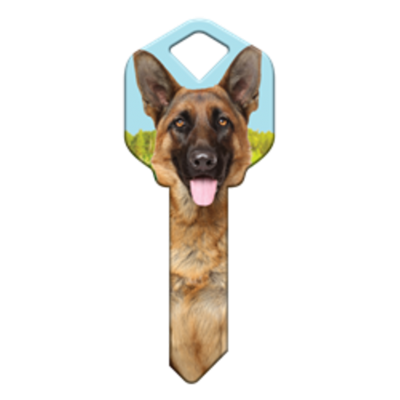 HK60 - CHIEN BERGER ALLEMAND