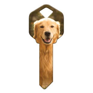 HK61 - CHIEN GOLDEN RETRIEVER