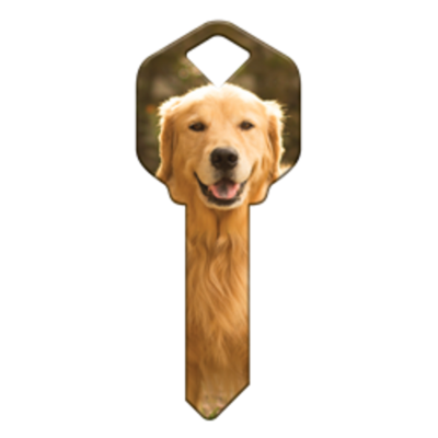 HK61 - CHIEN GOLDEN RETRIEVER
