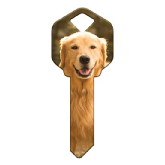 HK61 - CHIEN GOLDEN RETRIEVER