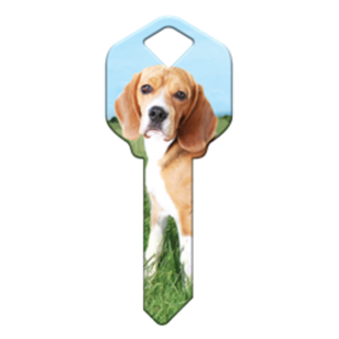HK63 - CHIEN BEAGLE