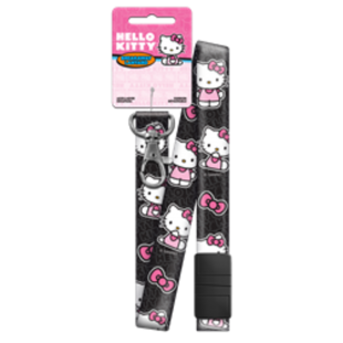 SRL3 - HELLO KITTY