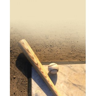 Signet Baseball