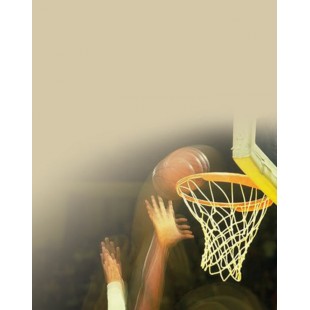 Signet Basketball