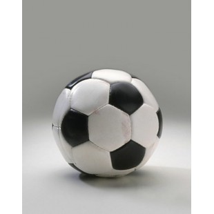 Signet Ballon de soccer