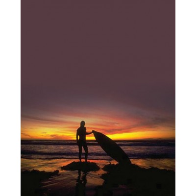 Signet Surf