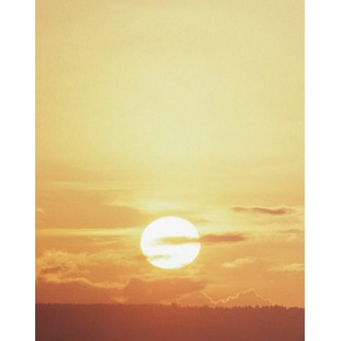 Signet Ciel jaune