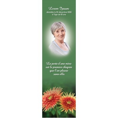 Signet Chrysantheme orange