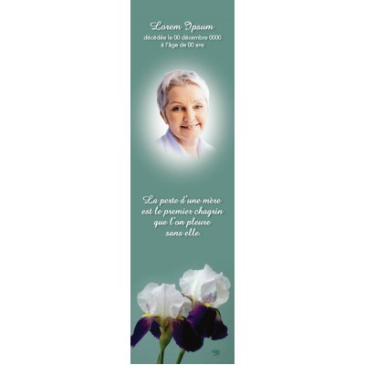 Signet Iris blanche
