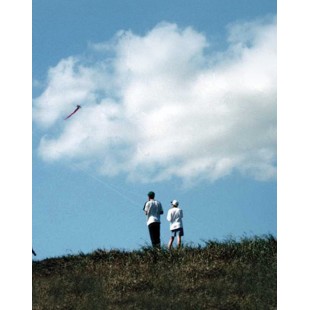 Signet Cerf volant