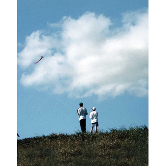 Signet Cerf volant