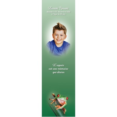 Signet Grenouille coloree