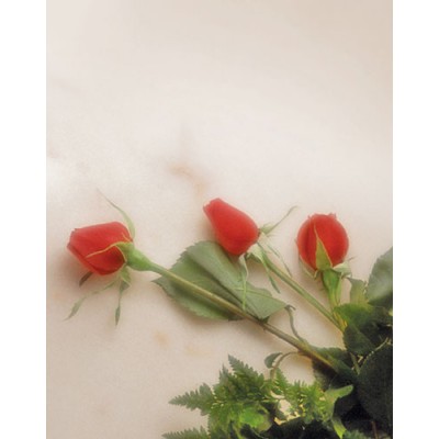 Signet Roses romantiques