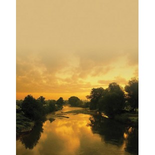 Signet Paysage orangé
