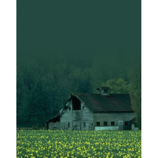 Signet Grange verte
