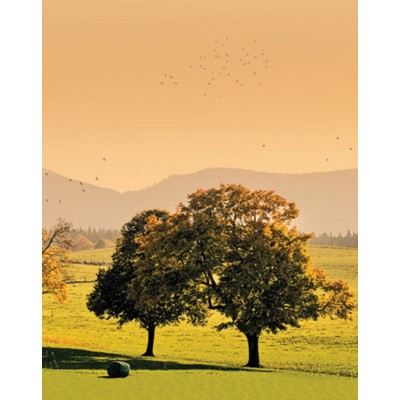 Signet Arbres chaleureux Signet Arbres chaleureux
