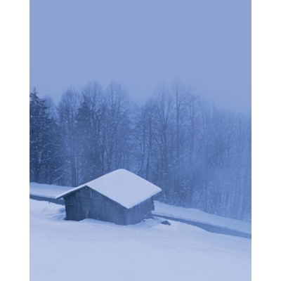 Signet Cabane neige