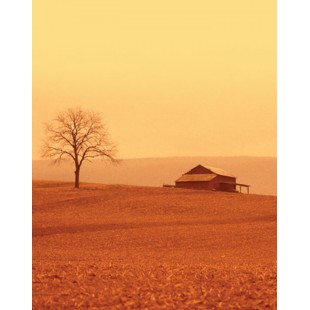Signet Cabane orange