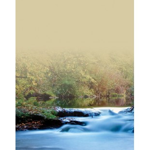 Signet Chute d'eau