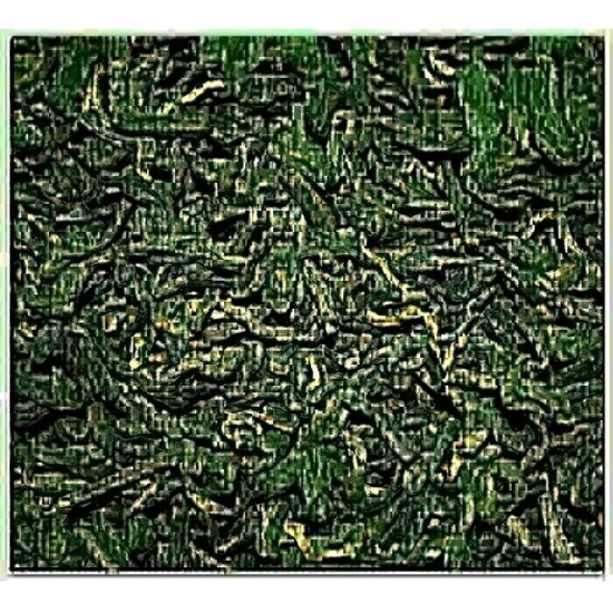 Pu'erh