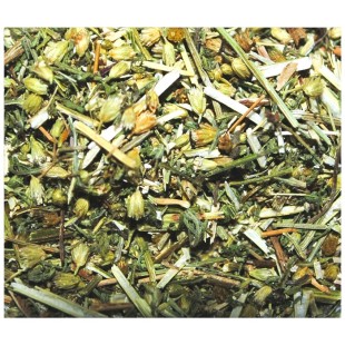 Achillée millefeuille - Infusion