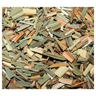 Verveine des Indes