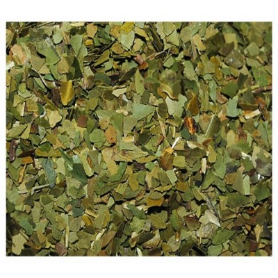 Yerba maté
