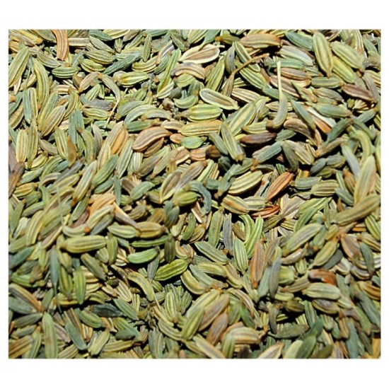 Fenouil