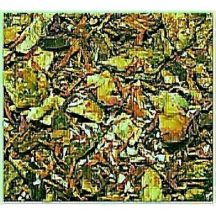 10°C N'ananas - Tisane