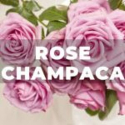 Recharge Zéro-déchet déodorant Kali-Rose champaca (70ml)