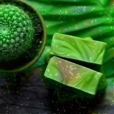 Savon Lait d'ânesse- Goudron de pin (120 g)