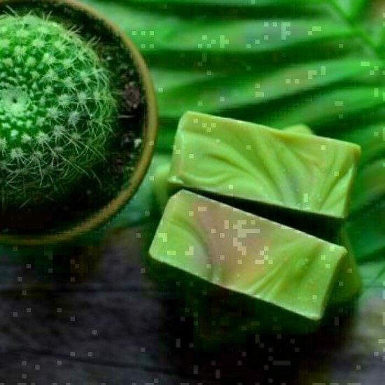 Savon Lait d'ânesse- Goudron de pin (120 g)