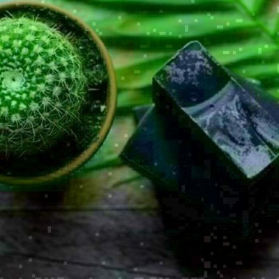 Savon Lait d'ânesse - Détoxifiant au Charbon...