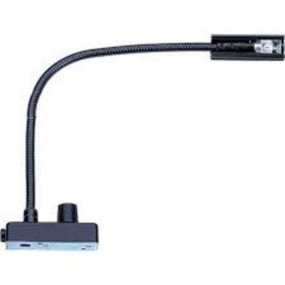 Littlite 12