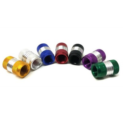 Bouchons de valves Bouchons de valves