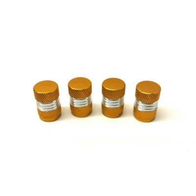Bouchons de valves 