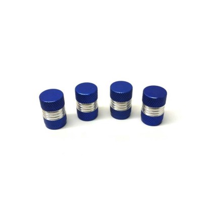 Bouchons de valves 