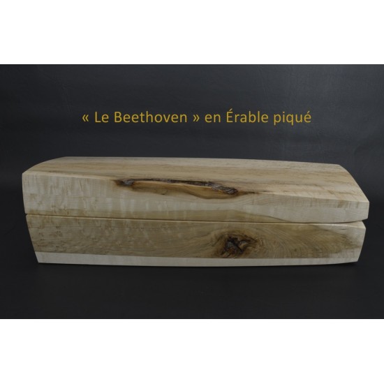 Beethoven 2