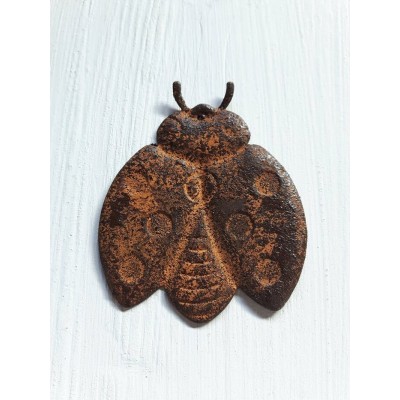 Coccinelle rustique