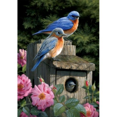 Maison d'oiseaux bleu