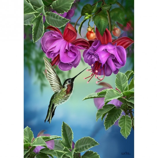 Colibri dans le jardin