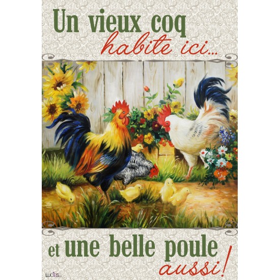 Un vieux coq, une belle poule