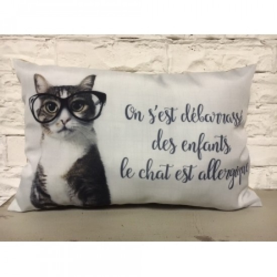 Coussin   on s'est débarrassé des enfants le...