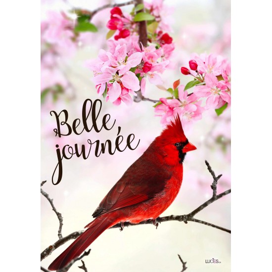 Belle Journée