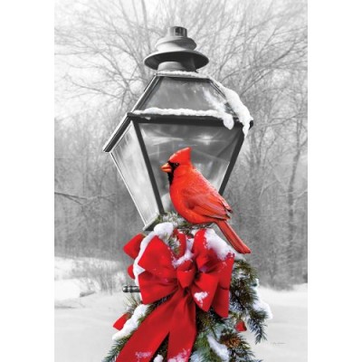 Cardinal sur lampadaire