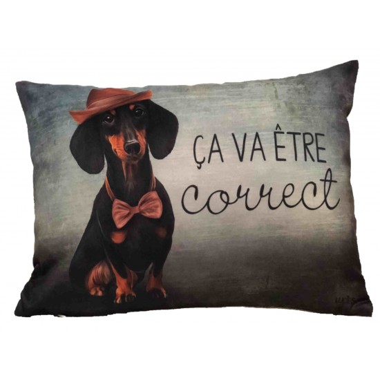  Coussin Ça va être correct 