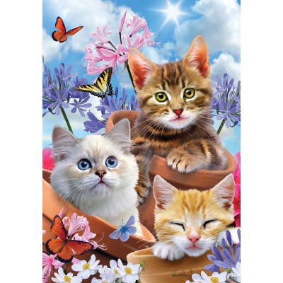 Kittens & Flowers