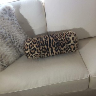 Coussin