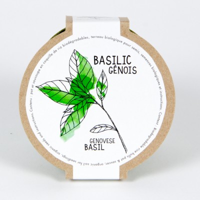 Minipot basilic