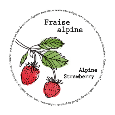 Minipot fraise alpine fibres recyclées